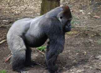 2025 Moda Trendlerine Göre Gardırop Güncelleme Rehberi 2025 Moda Trendlerine Göre Gardırop Güncelleme Rehberi