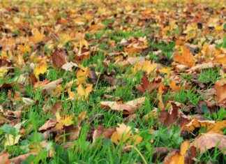 Deri Ceket ile Kombin Yapmanın En Şık Yolları Deri Ceket ile Kombin Yapmanın En Şık Yolları