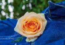 Doğru Jean Seçimi İçin Bilmeniz Gerekenler Doğru Jean Seçimi İçin Bilmeniz Gerekenler