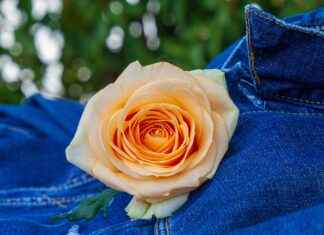 Doğru Jean Seçimi İçin Bilmeniz Gerekenler Doğru Jean Seçimi İçin Bilmeniz Gerekenler