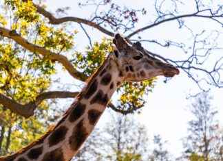 En İyi Yazlık Kombinler ve Tarz Önerileri En İyi Yazlık Kombinler ve Tarz Önerileri
