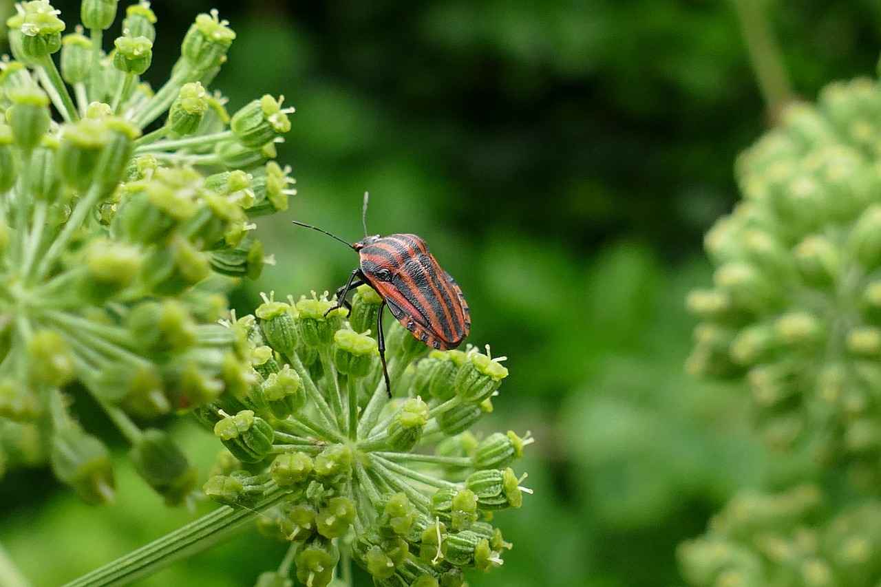 6. Pijama Takımı Kombinleri