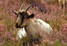 En Şık Etek Kombinleri ile Günlük Hayatta Tarzınızı Konuşturun En Şık Etek Kombinleri ile Günlük Hayatta Tarzınızı Konuşturun