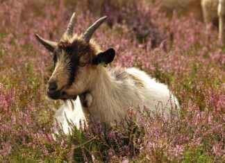 En Şık Etek Kombinleri ile Günlük Hayatta Tarzınızı Konuşturun En Şık Etek Kombinleri ile Günlük Hayatta Tarzınızı Konuşturun