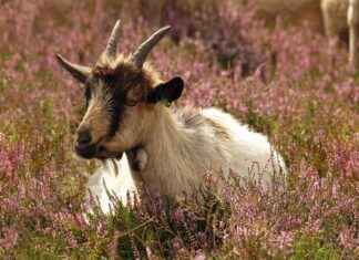 En Şık Gömlek Modelleri ile Ofis Şıklığı Yakalayın En Şık Gömlek Modelleri ile Ofis Şıklığı Yakalayın