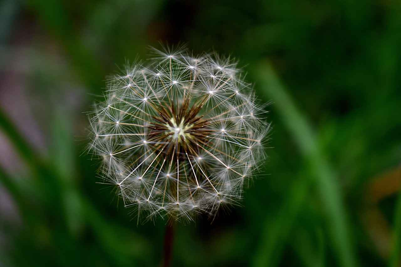 Sonuç: Spor Ayakkabılarla Şıklık ve Rahatlık