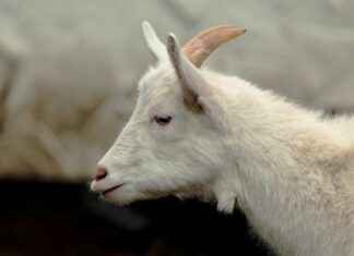 Gece Şıklığı İçin Işıltılı ve Dikkat Çekici Kombinler Gece Şıklığı İçin Işıltılı ve Dikkat Çekici Kombinler