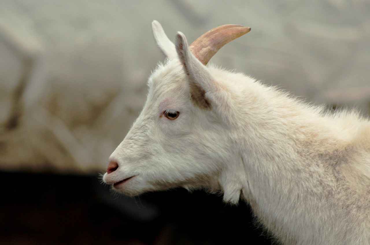 8. Mevsimlere Göre Giysi Seçimi