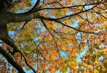 Günlük Hayatta Deri Ceket Kullanımı ve Kombinleri Günlük Hayatta Deri Ceket Kullanımı ve Kombinleri