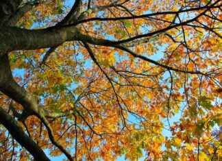 Günlük Hayatta Deri Ceket Kullanımı ve Kombinleri Günlük Hayatta Deri Ceket Kullanımı ve Kombinleri