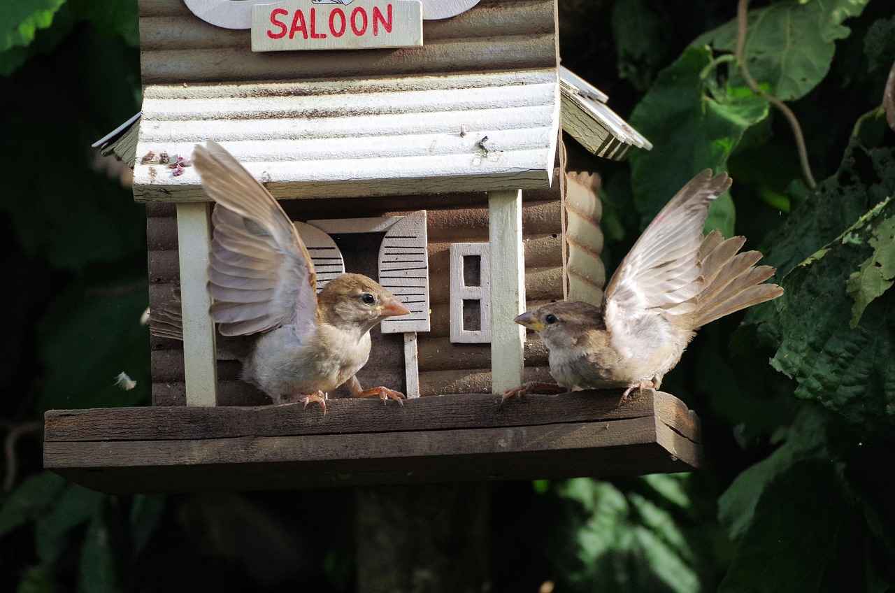 Günlük Hayatta Spor Ayakkabı Kullanmanın Avantajları
