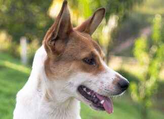 Günlük Hayatta Kot Pantolon ve Gömlek Kombinleri Günlük Hayatta Kot Pantolon ve Gömlek Kombinleri