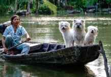 Günlük Hayatta Minimalist Tarz Nasıl Benimsenir? Günlük Hayatta Minimalist Tarz Nasıl Benimsenir?