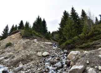 Günlük Hayatta Şapka ve Bere Kullanımı Günlük Hayatta Şapka ve Bere Kullanımı