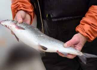 Günlük Hayatta Şık Giyinmenin Kolay Yolları Günlük Hayatta Şık Giyinmenin Kolay Yolları
