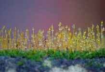 Günlük Hayatta Spor Kıyafetleri Şık Kullanma Tüyoları Günlük Hayatta Spor Kıyafetleri Şık Kullanma Tüyoları