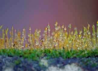 Günlük Hayatta Spor Kıyafetleri Şık Kullanma Tüyoları Günlük Hayatta Spor Kıyafetleri Şık Kullanma Tüyoları