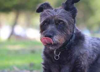 Günlük Kombinlerde Kot Pantolon Kullanımı Günlük Kombinlerde Kot Pantolon Kullanımı