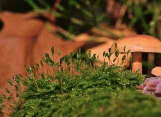 Günlük Kombinlerde Spor Ayakkabı Kullanımı Günlük Kombinlerde Spor Ayakkabı Kullanımı