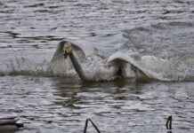 Günlük Kombinlerde Spor ve Şık Tarzı Birleştirmenin Yolları Günlük Kombinlerde Spor ve Şık Tarzı Birleştirmenin Yolları