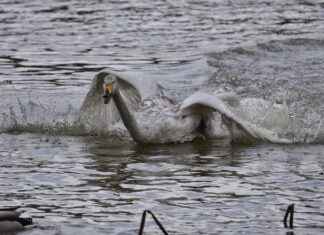 Günlük Kombinlerde Spor ve Şık Tarzı Birleştirmenin Yolları Günlük Kombinlerde Spor ve Şık Tarzı Birleştirmenin Yolları