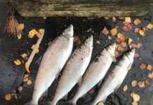 Günlük Şıklık İçin Pratik Kombin Önerileri Günlük Şıklık İçin Pratik Kombin Önerileri