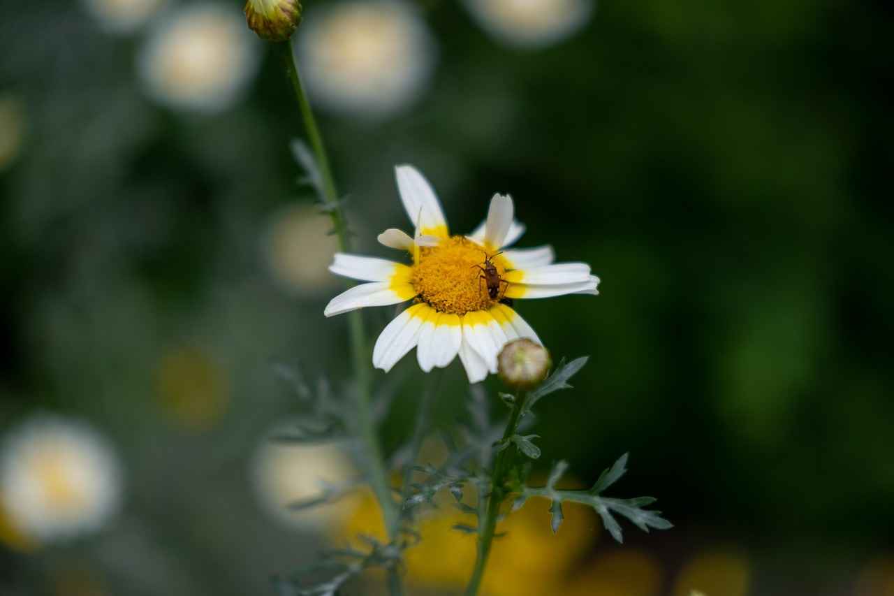 Canlı Renklerle Aksesuar Kullanımı