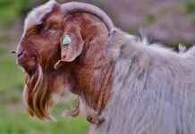 Kadınlar İçin En Şık Ofis Kıyafetleri Kadınlar İçin En Şık Ofis Kıyafetleri