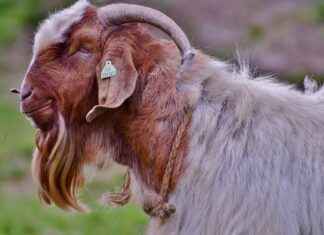 Kadınlar İçin En Şık Ofis Kıyafetleri Kadınlar İçin En Şık Ofis Kıyafetleri