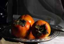 Kadınlar İçin En Şık Takım Elbise Kombinleri Kadınlar İçin En Şık Takım Elbise Kombinleri