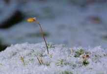 Kadınlar İçin En Trend Spor Giyim Kombinleri Kadınlar İçin En Trend Spor Giyim Kombinleri