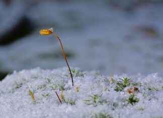 Kadınlar İçin En Trend Spor Giyim Kombinleri Kadınlar İçin En Trend Spor Giyim Kombinleri