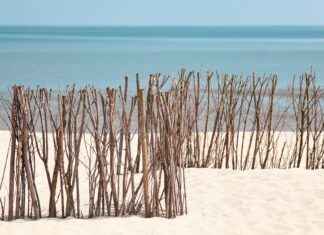 Kapsül Gardırop Oluşturmanın Altın Kuralları Kapsül Gardırop Oluşturmanın Altın Kuralları