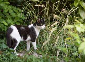 Kış Aylarında En Şık Bere ve Atkı Kombinleri Kış Aylarında En Şık Bere ve Atkı Kombinleri