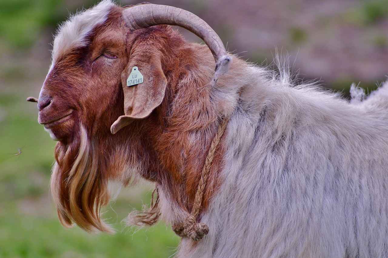 Kabanlarla Yapılabilecek Kombinler