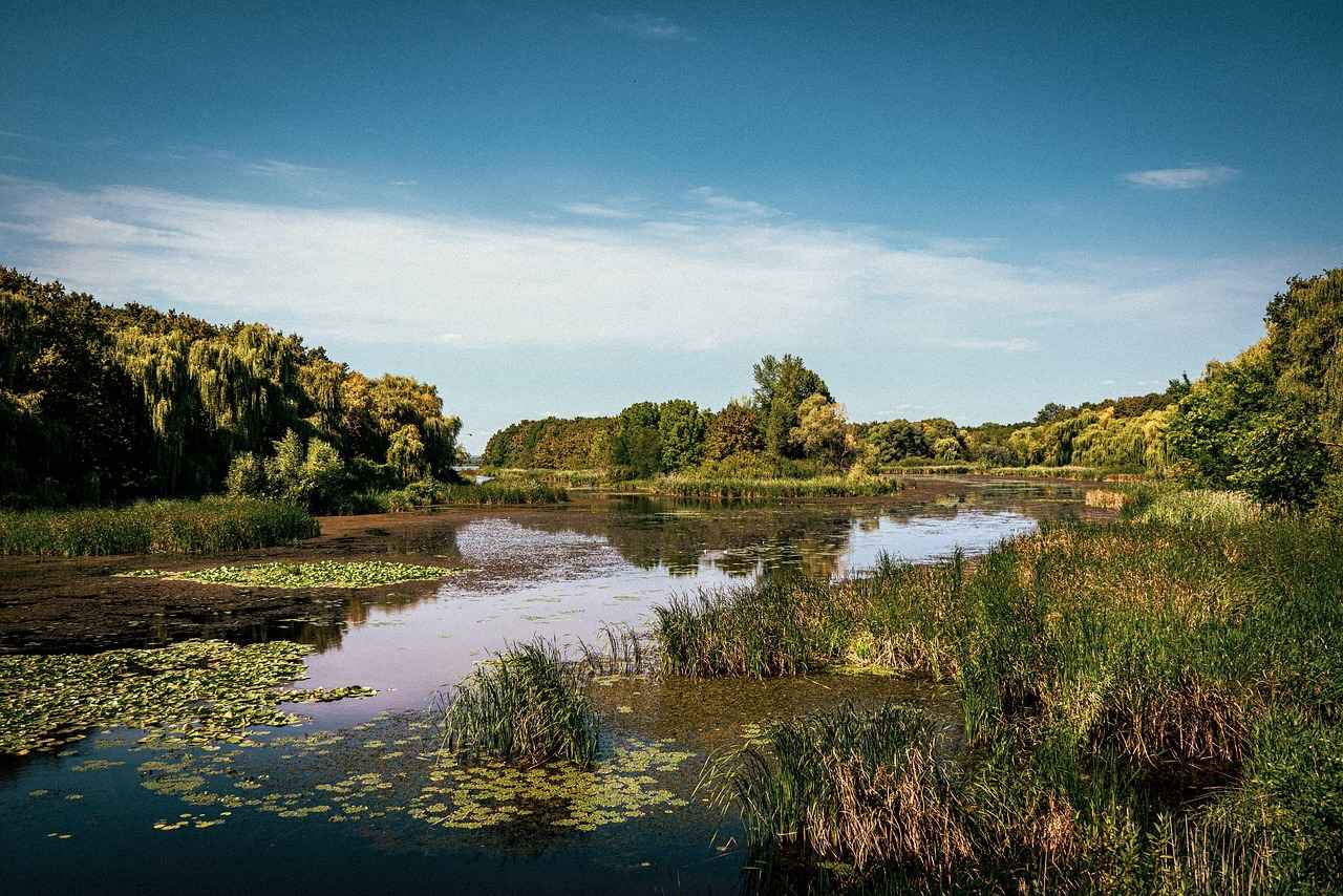 Ayakkabı Seçiminde Dikkat Edilmesi Gerekenler