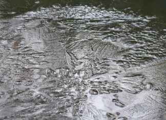 Kıyafetlerde Desen Kullanımının Altın Kuralları Kıyafetlerde Desen Kullanımının Altın Kuralları