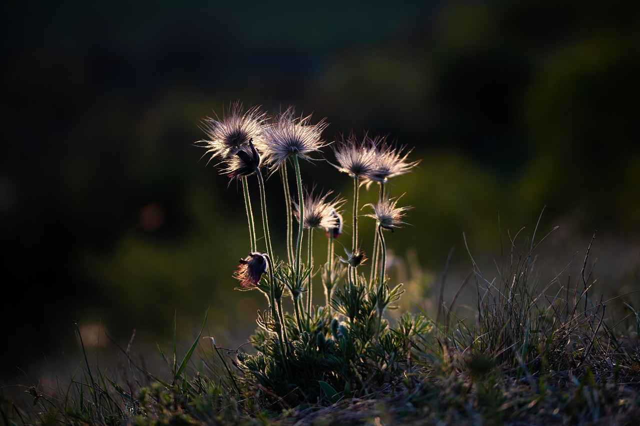 2. Yüksek Bel Kıyafetler