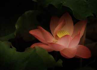 Klasik Giyim ve Modern Tarzı Birleştiren Kombinler Klasik Giyim ve Modern Tarzı Birleştiren Kombinler