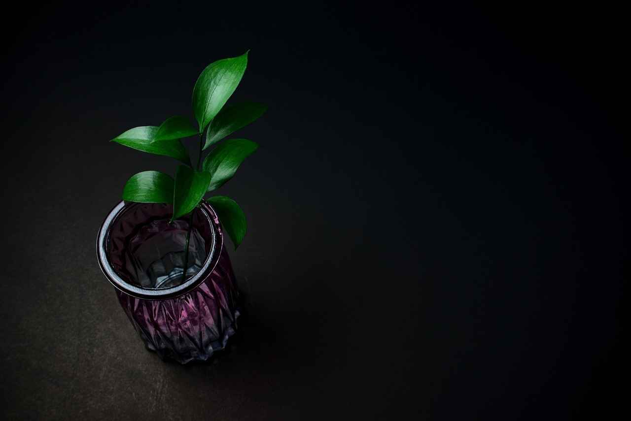 5. Minimalizm ve Az Çoktur Felsefesi