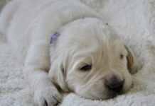 Moda Haftalarından İlham Alarak Tarzınızı Yenileyin Moda Haftalarından İlham Alarak Tarzınızı Yenileyin