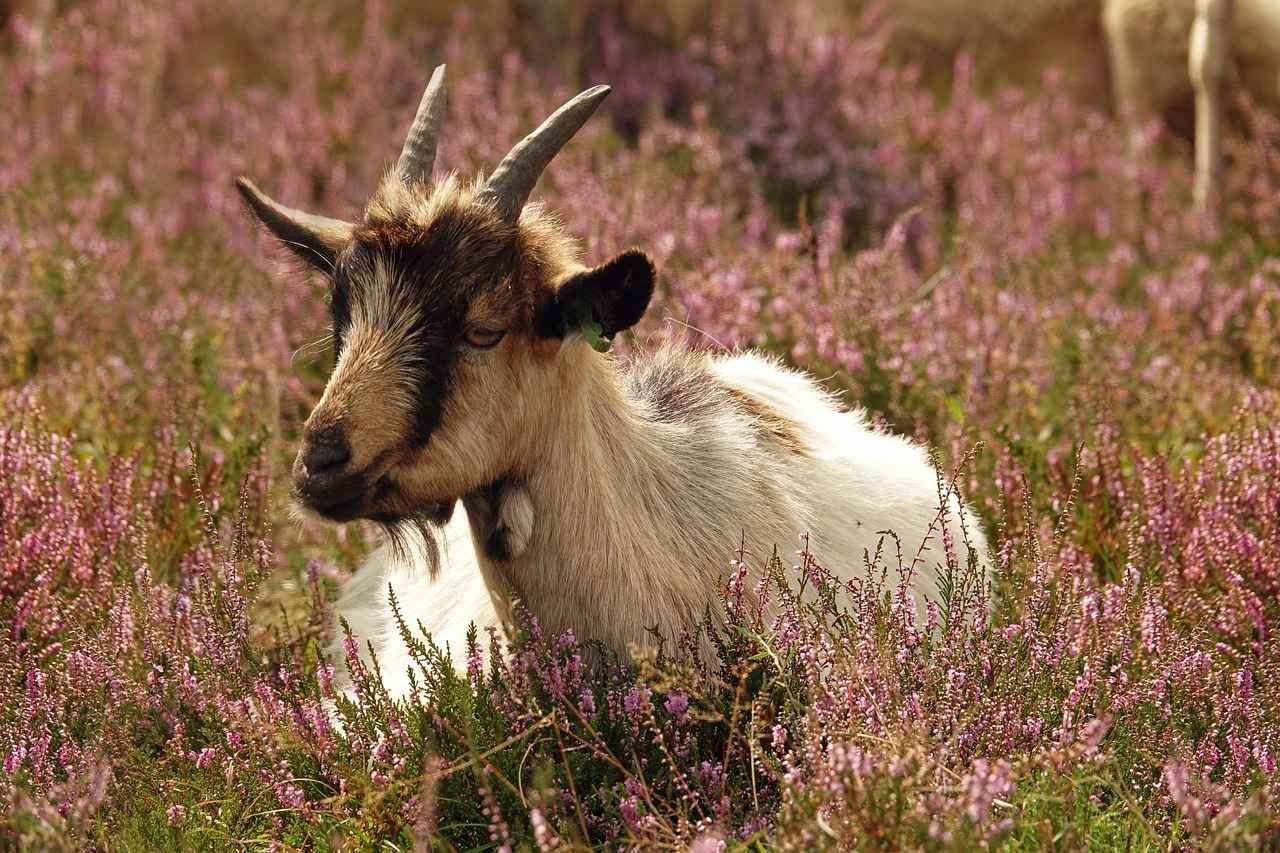 Özel Günler İçin Kombin Seçimi