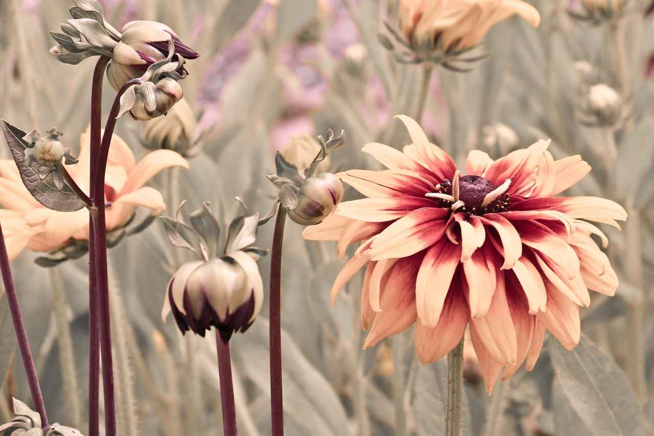 10. Sonuç: Pastel Renklerle Tarzınızı Yansıtın