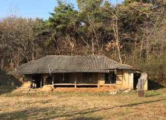 Rahatlık ve Şıklığı Birleştiren Günlük Giyim Kombinleri Rahatlık ve Şıklığı Birleştiren Günlük Giyim Kombinleri