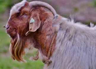 Renkli Ayakkabıları Kombinlemenin En Şık Yolları Renkli Ayakkabıları Kombinlemenin En Şık Yolları