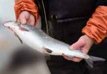 Sezonun En Moda Çanta Modelleri ve Kullanım Önerileri Sezonun En Moda Çanta Modelleri ve Kullanım Önerileri