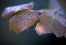 Sonbahar Sezonunun En Popüler Elbise Modelleri Sonbahar Sezonunun En Popüler Elbise Modelleri