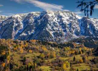 Sonbaharda En Çok Tercih Edilen Renkler ve Kombinler Sonbaharda En Çok Tercih Edilen Renkler ve Kombinler