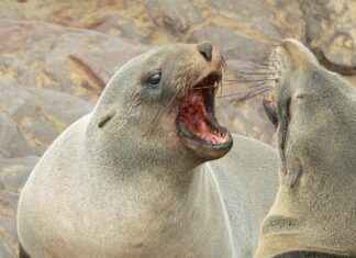 Spor Giyim Modasında Öne Çıkan Trendler Spor Giyim Modasında Öne Çıkan Trendler