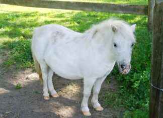 Uzun Çizmeleri Kombinlemenin 5 Şık Yolu # Uzun Çizmeleri Kombinlemenin 5 Şık Yolu Uzun Çizmeleri Kombinlemenin 5 Şık Yolu # Uzun Çizmeleri Kombinlemenin 5 Şık Yolu